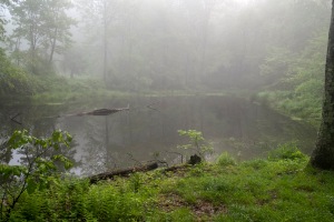 Punchbowl Pond